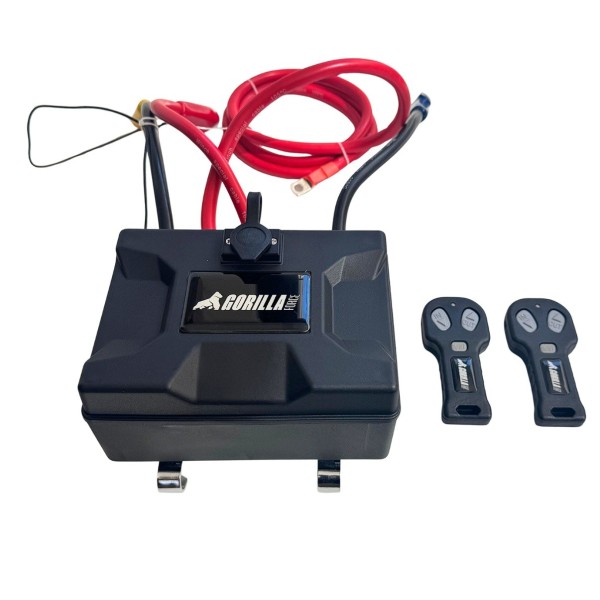 Repuesto Control Box 6000 libras 12V Heavy Dutty con 2 controles inalámbricos.